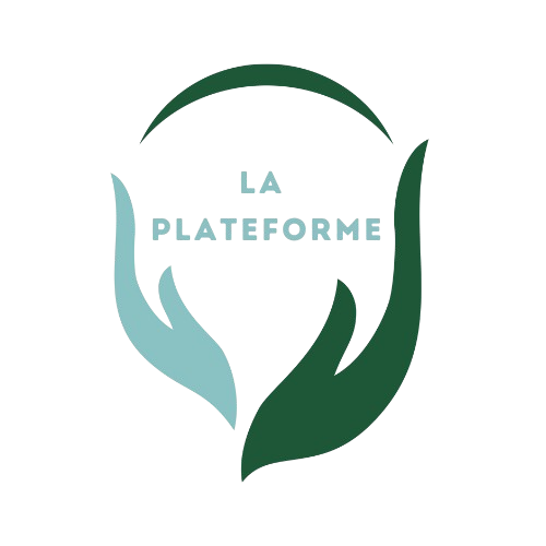 Association La Plateforme